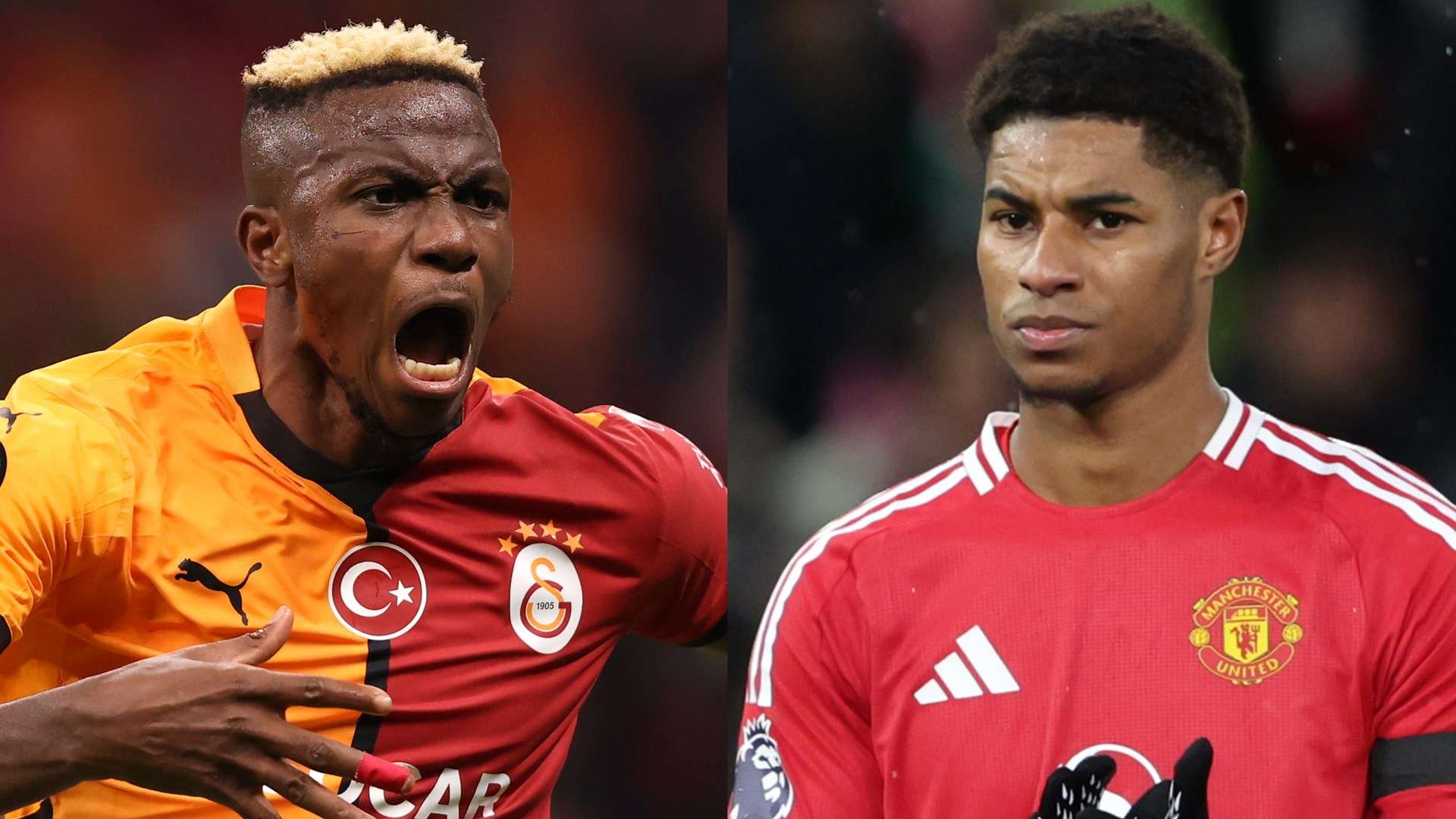 球迷们可以 球迷们可以