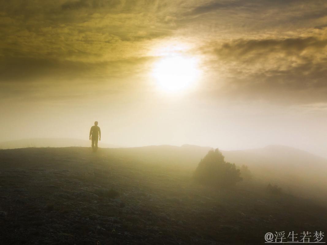 沉静中的较量 暗夜里的逐光 沉静中的较量 暗夜里的逐光